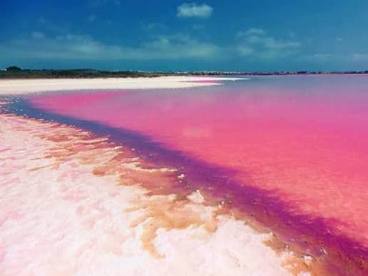 Les lacs salés roses